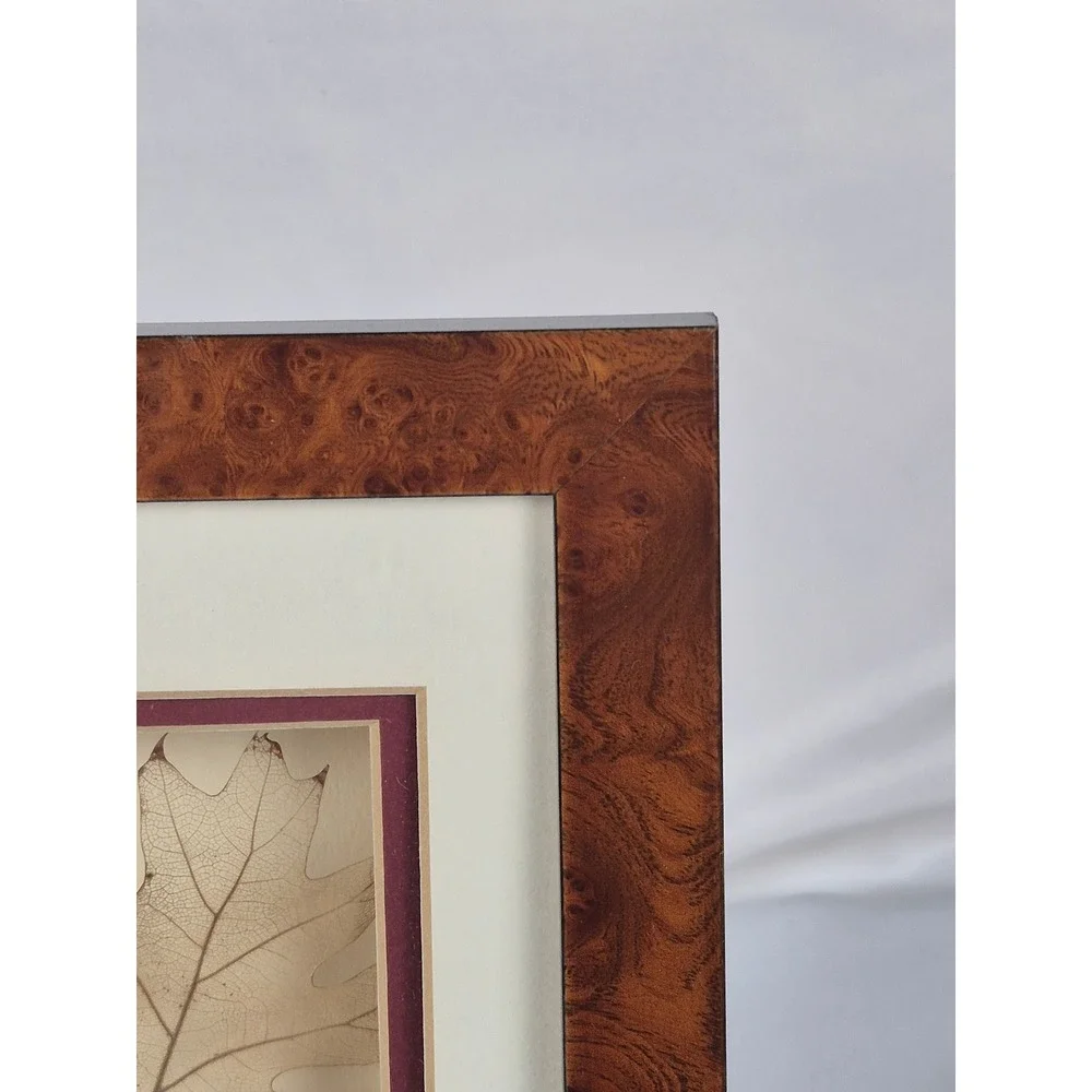 Vintage Skeleton Leaf Art Burl Wood Look Frame Booker Morey 1994 Decor Oak Tree